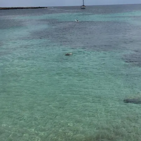 Villa Sabaudia Sabaudia